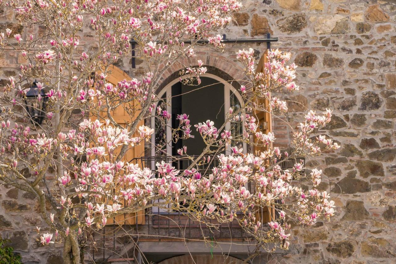 La Magnolia Bed and Breakfast Greve in Chianti Exteriör bild
